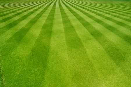 Lawn Patterns: A Cut Above