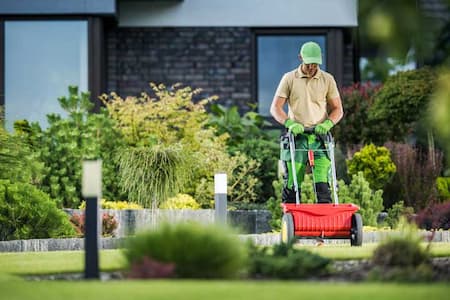 Revitalize Your Lawn with Expert Renovations and Seeding in Perinton, NY