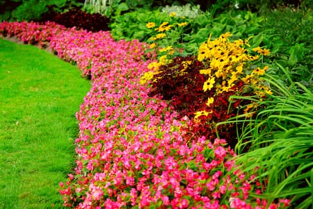 Garden Bed Maintenance